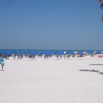 clearwater beaches golden soft white sands
